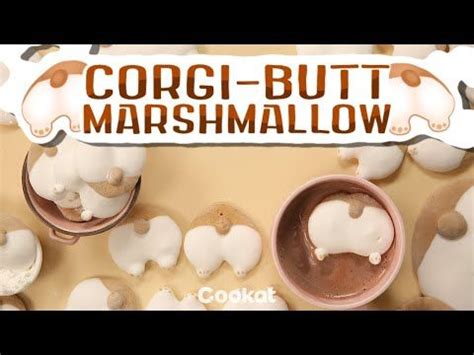 corgi butt marshmallows|NAYOTHECORGI.COM Official Page (@nayothecorgi